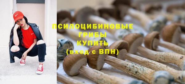 не бодяженный Кодинск