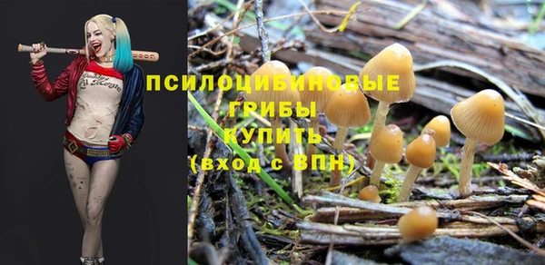 экстази Козловка