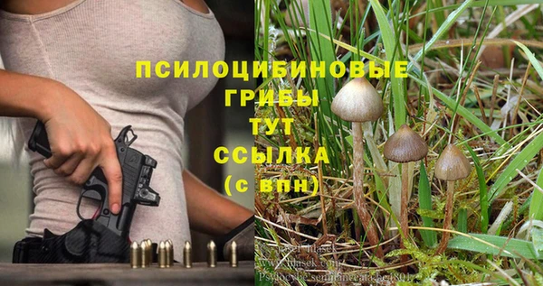 не бодяженный Кодинск